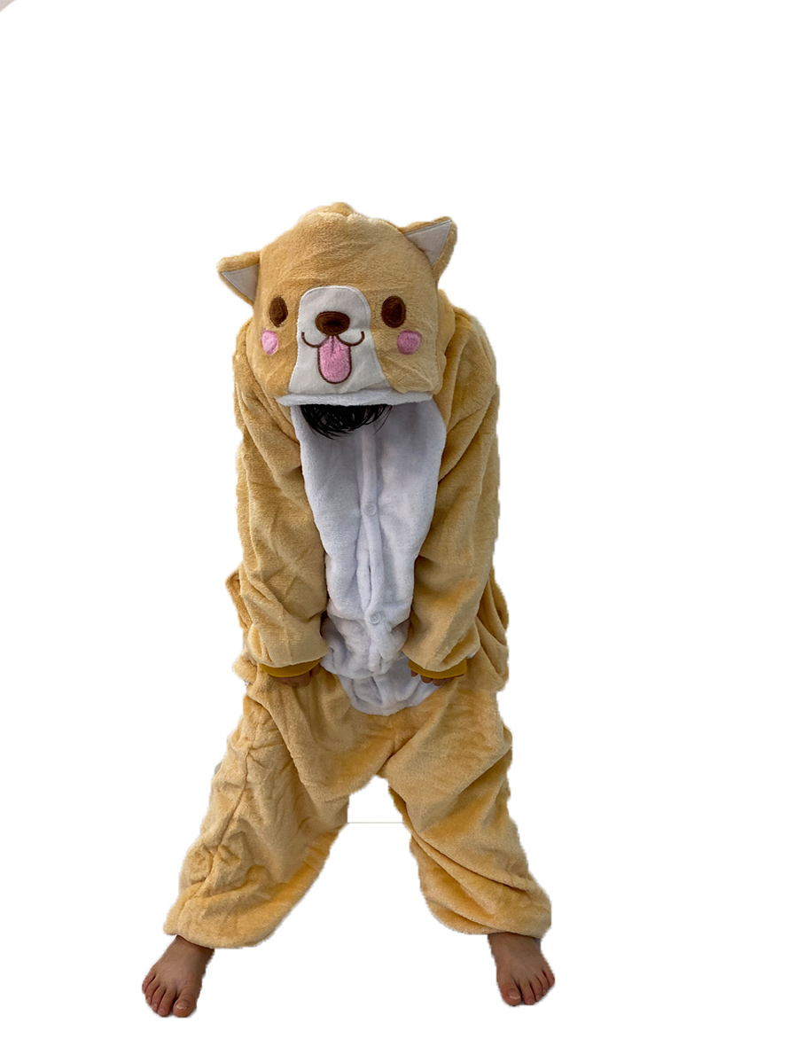 brown cat onesie